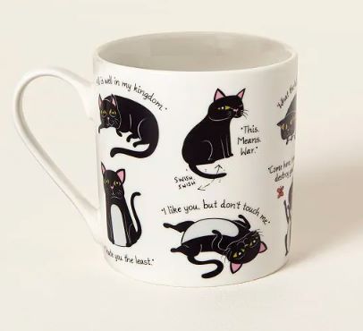Gift ideas for her| Cattitude mug