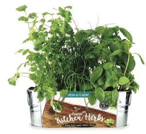 Gift ideas for her| Organic Windowsill Grow Kit