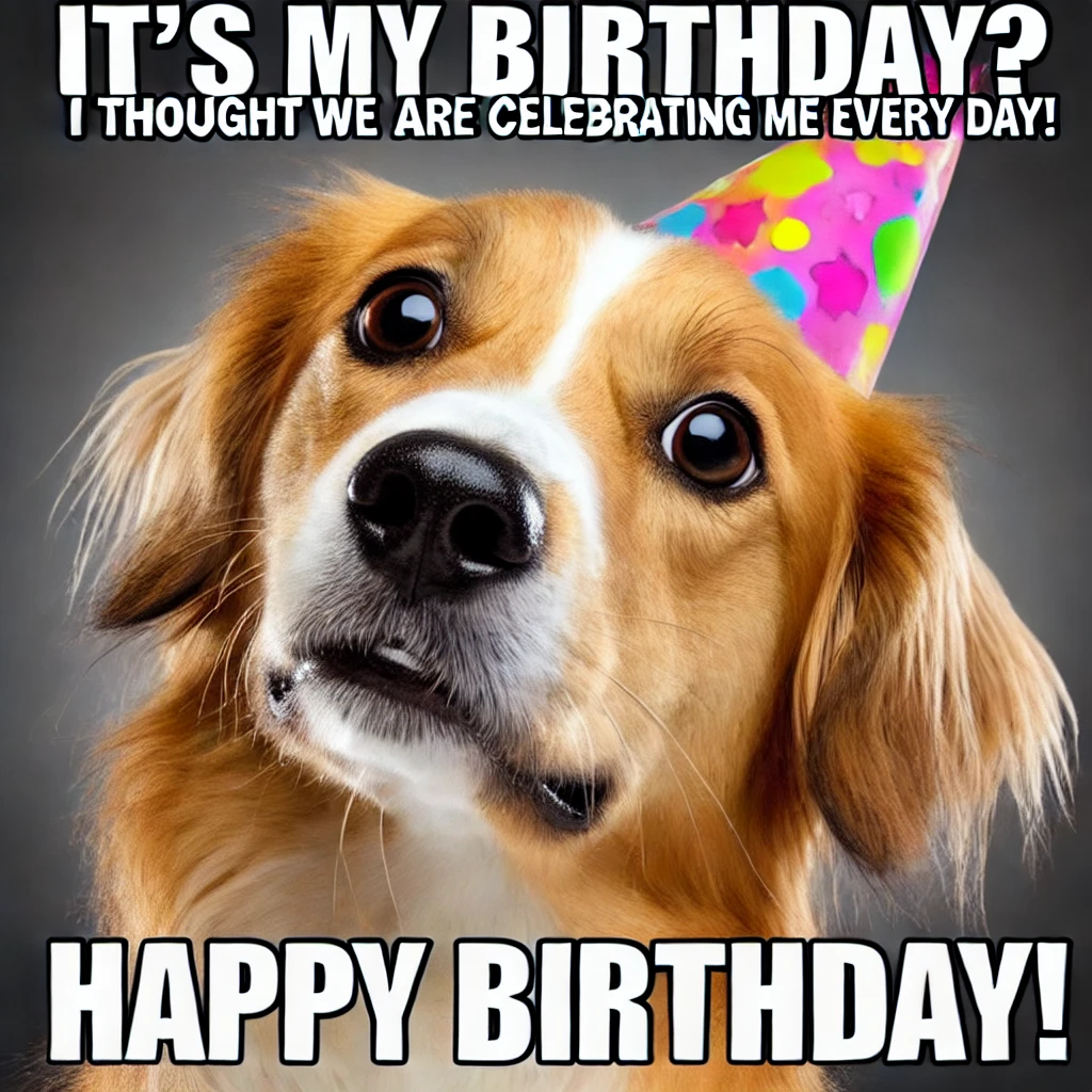 Confused Dog Meme – "It’s my birthday? I thought we were celebrating ME every day! Happy Birthday!"